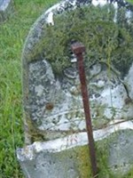 Julia Fay Dickinson Brizendine