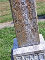Julia Hackett Julia Hackett