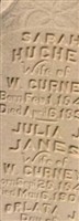 Julia J Gurney Julia J Gurney