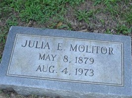 Julia L Molitor