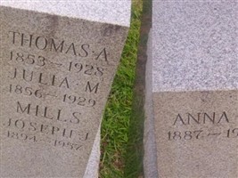 Julia M Murphy Julia M Murphy