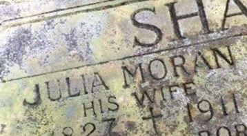 Julia Moran Sharkey