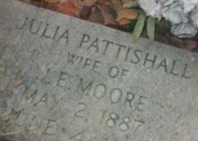 Julia Pattishall Moore (2027868.jpg) Julia Pattishall Moore (2027868.jpg)