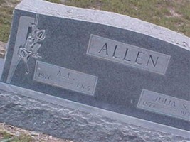 Julia S. Allen Julia S. Allen