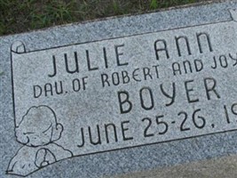 Julie Ann Boyer Julie Ann Boyer
