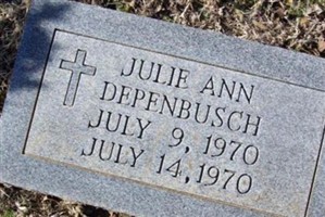 Julie Ann Depenbusch
