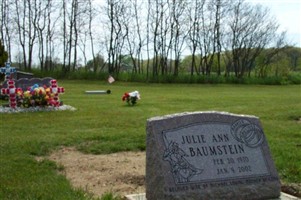 Julie Ann DeVries Baumstein