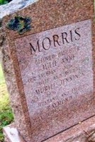 Julie Anne Morris