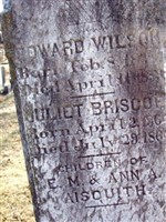 Juliet Briscoe Aisquith