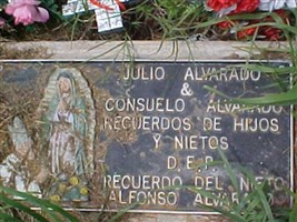 Julio Alvarado