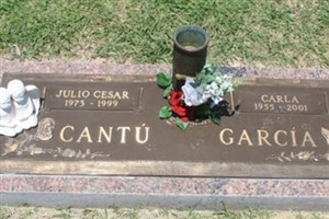 Julio Cesar Cantu Julio Cesar Cantu