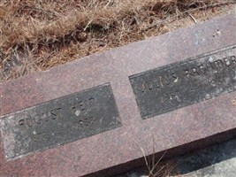 Julius Brehmer