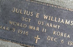 Julius E. Williams