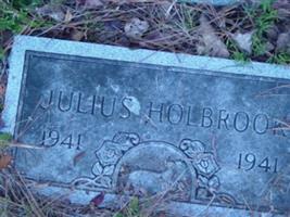 Julius Holbrook (1985410.jpg)