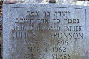 Julius J Aronson