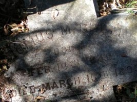 Julius M Rhett (1898214.jpg)