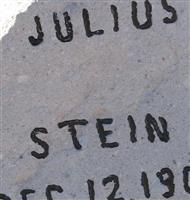 Julius Stein