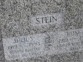 Julius Stein