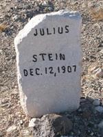 Julius Stein