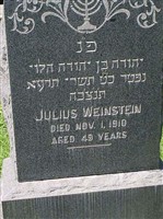 Julius Weinstein