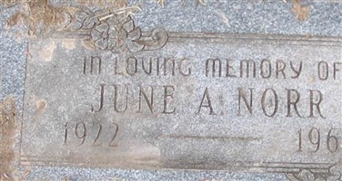 June A. Moser Norr