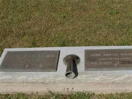 June Amelia Strayer June Amelia Strayer