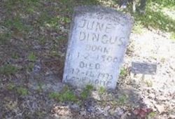 June Belle Adkins Dingus June Belle Adkins Dingus