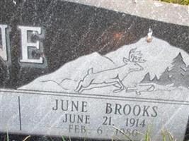 June Brooks Toone