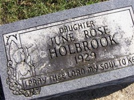 June Rose Holbrook