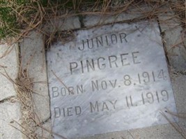 Junior Pingree Junior Pingree