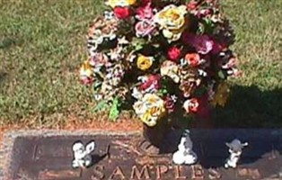Junior Samples Junior Samples