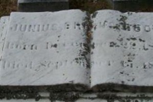 Junius Brutus Booth, Jr