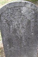 Junius Johns