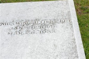 Junius Wingfield Nisbet