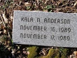 Kala N. Anderson