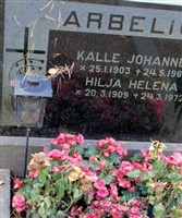 Kalle Johannes Arbelius