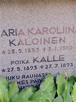 Kalle Kaloinen