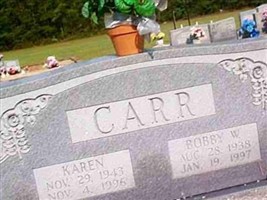 Karen Carr