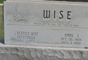 Karl J. Wise