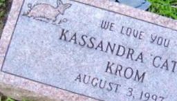 Kassandra Catlin Krom