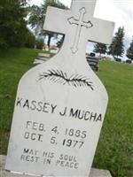 Kassey John Mucha