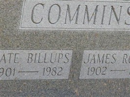Kate Billups Commins