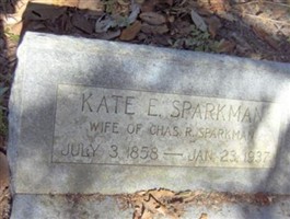 Kate E. Sparkman