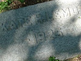 Kate H Lemon