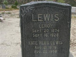 Kate Rees Lewis
