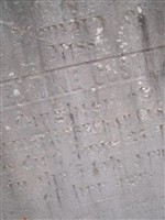 Katharine Cushman