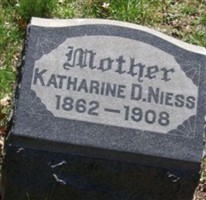 Katharine D Niess