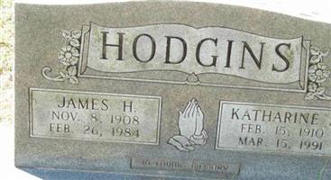 Katherine J. Hodgins