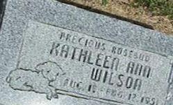 Kathleen Ann Wilson