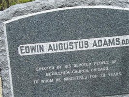 Kathryn N Adams